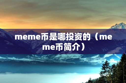 meme币是哪投资的（meme币简介）