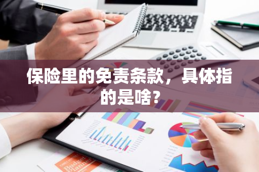 保险里的免责条款，具体指的是啥？