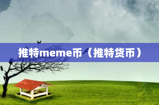 推特meme币（推特货币）