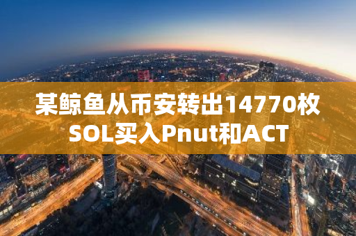 某鲸鱼从币安转出14770枚SOL买入Pnut和ACT