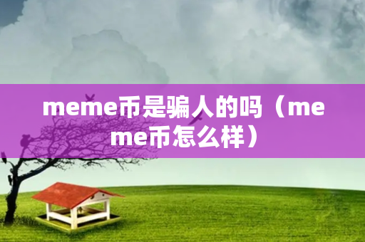 meme币是骗人的吗（meme币怎么样）