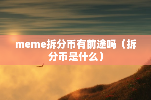 meme拆分币有前途吗（拆分币是什么）