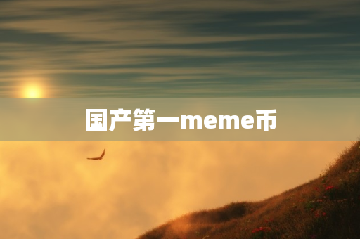 国产第一meme币