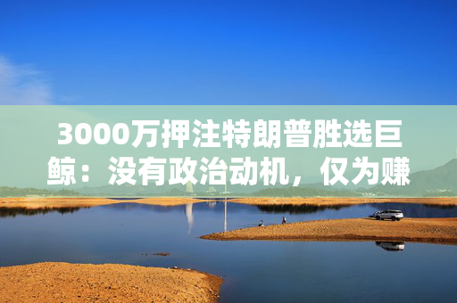 3000万押注特朗普胜选巨鲸：没有政治动机，仅为赚钱