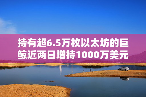 持有超6.5万枚以太坊的巨鲸近两日增持1000万美元ETH