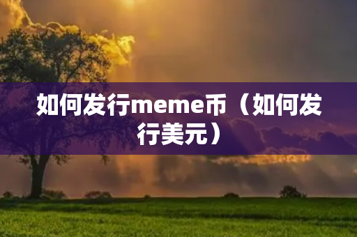 如何发行meme币（如何发行美元）