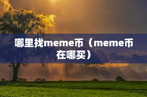 哪里找meme币（meme币在哪买）