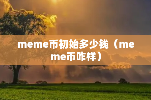 meme币初始多少钱（meme币咋样）