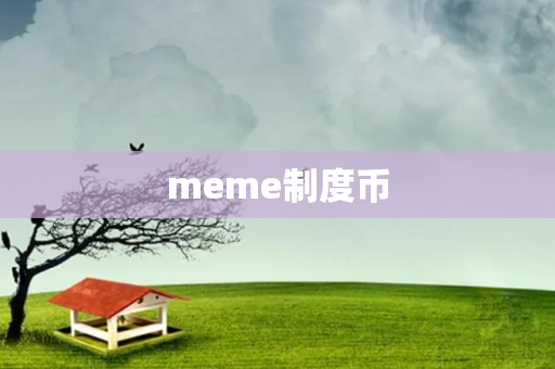 meme制度币