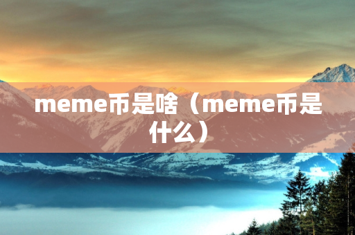 meme币是啥（meme币是什么）