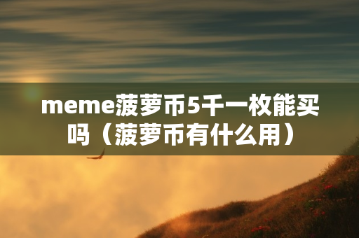 meme菠萝币5千一枚能买吗（菠萝币有什么用）