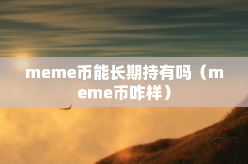 meme币能长期持有吗（meme币咋样）