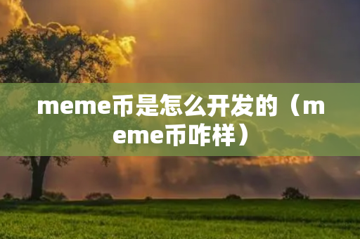 meme币是怎么开发的（meme币咋样）