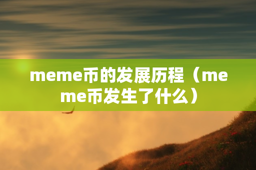 meme币的发展历程（meme币发生了什么）