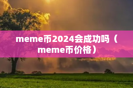 meme币2024会成功吗（meme币价格）