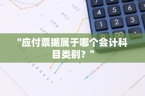 "应付票据属于哪个会计科目类别？"