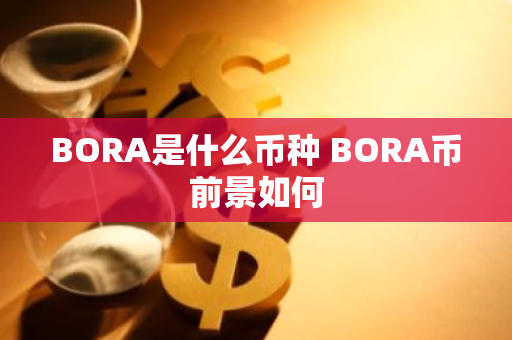 BORA是什么币种 BORA币前景如何