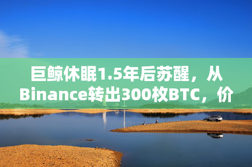 巨鲸休眠1.5年后苏醒，从Binance转出300枚BTC，价值约2090万美元