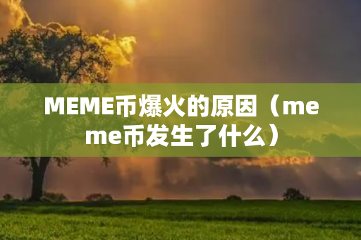 MEME币爆火的原因（meme币发生了什么）