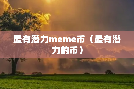 最有潜力meme币（最有潜力的币）