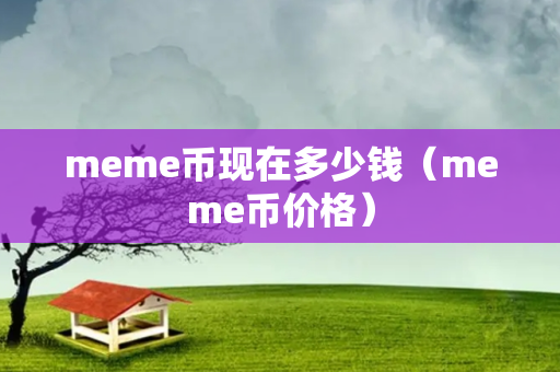 meme币现在多少钱（meme币价格）