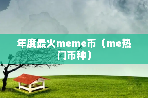 年度最火meme币（me热门币种）