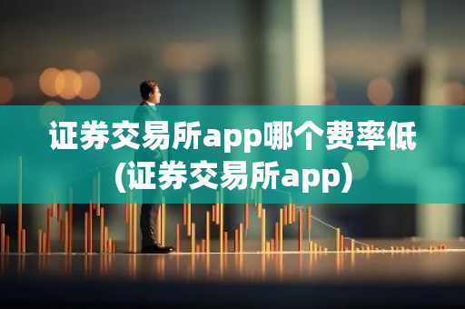 证券交易所app哪个费率低(证券交易所app)