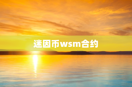 迷因币wsm合约