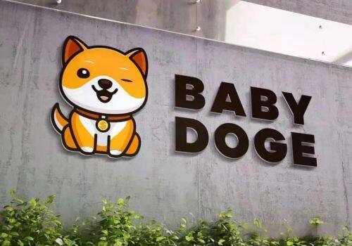 BABYDOGE币种介绍