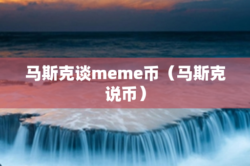 马斯克谈meme币（马斯克说币）