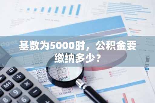 基数为5000时，公积金要缴纳多少？