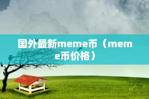 国外最新meme币（meme币价格）