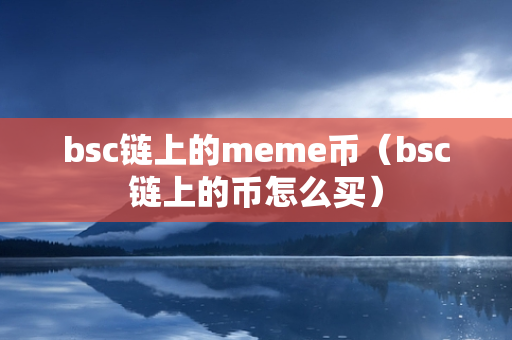 bsc链上的meme币（bsc链上的币怎么买）