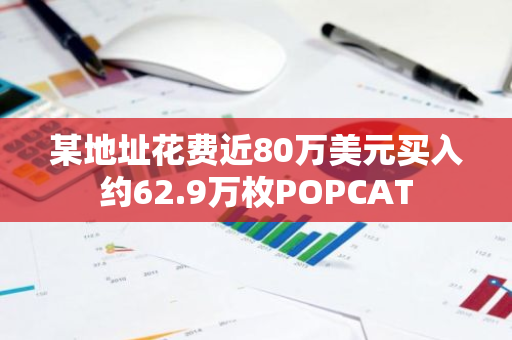 某地址花费近80万美元买入约62.9万枚POPCAT