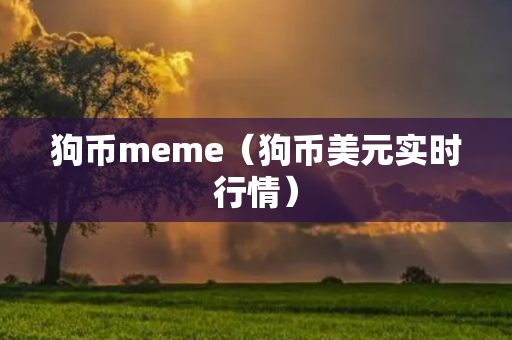 狗币meme（狗币美元实时行情）