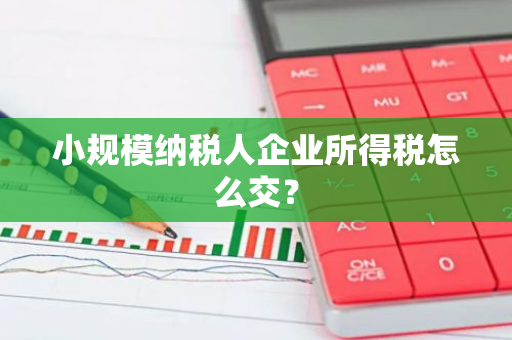 小规模纳税人企业所得税怎么交？