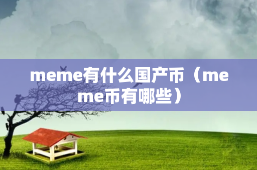 meme有什么国产币（meme币有哪些）