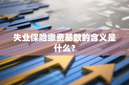 失业保险缴费基数的含义是什么？