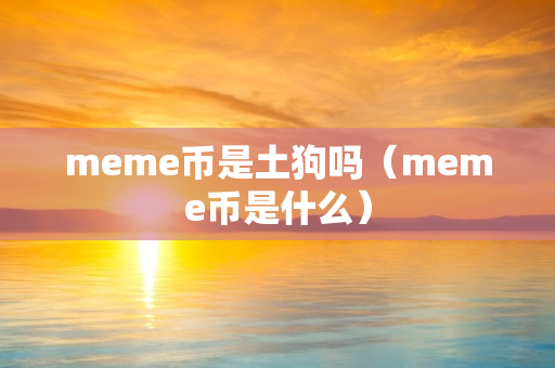 meme币是土狗吗（meme币是什么）