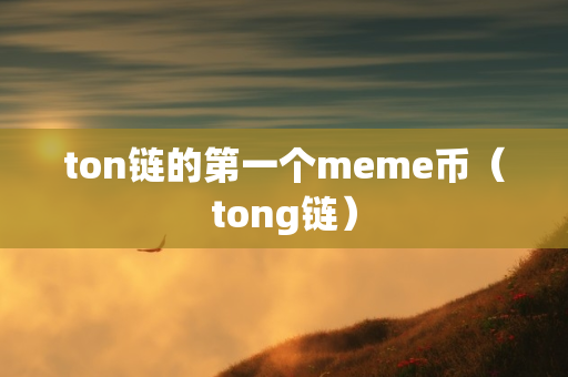 ton链的第一个meme币（tong链）