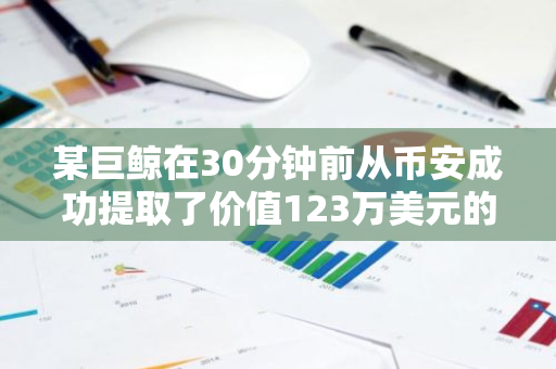 某巨鲸在30分钟前从币安成功提取了价值123万美元的EIGEN代币