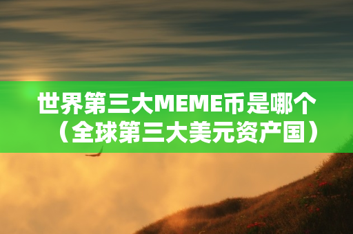 世界第三大MEME币是哪个（全球第三大美元资产国）