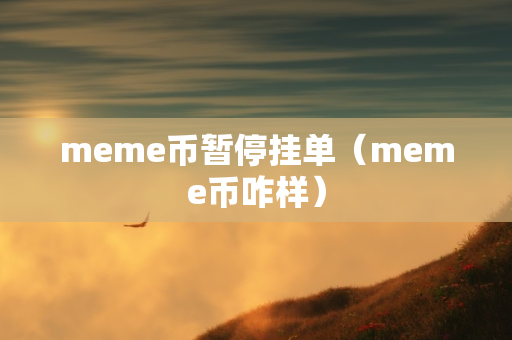 meme币暂停挂单（meme币咋样）