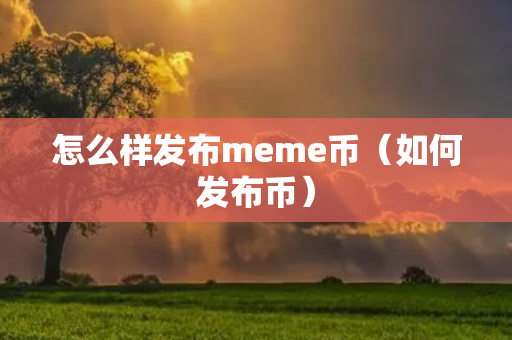 怎么样发布meme币（如何发布币）