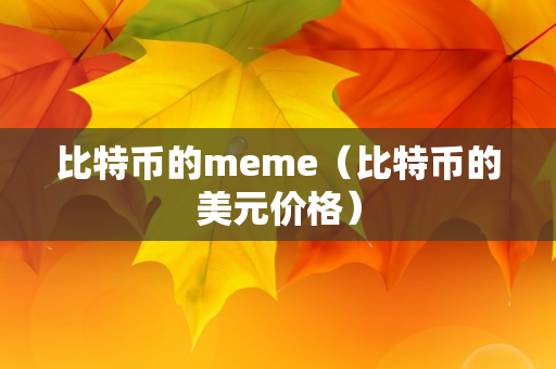 比特币的meme（比特币的美元价格）