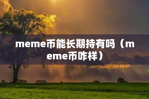 meme币能长期持有吗（meme币咋样）