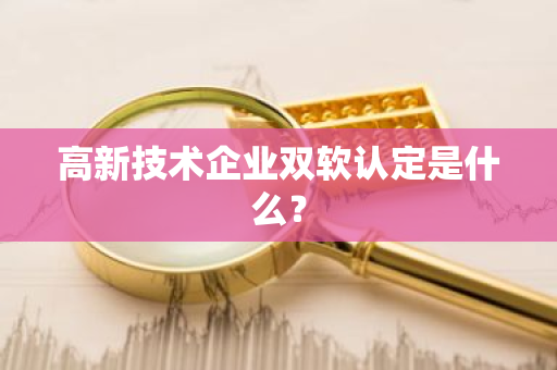 高新技术企业双软认定是什么？