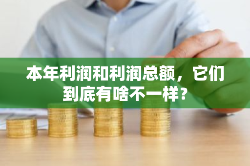 本年利润和利润总额，它们到底有啥不一样？