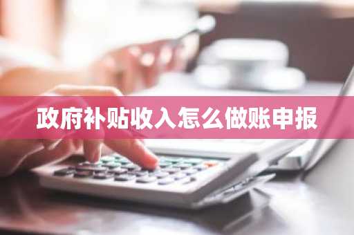 政府补贴收入怎么做账申报