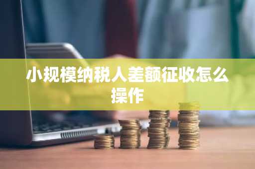 小规模纳税人差额征收怎么操作